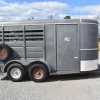 2007 WW 2HSL 2 Horse Trailer