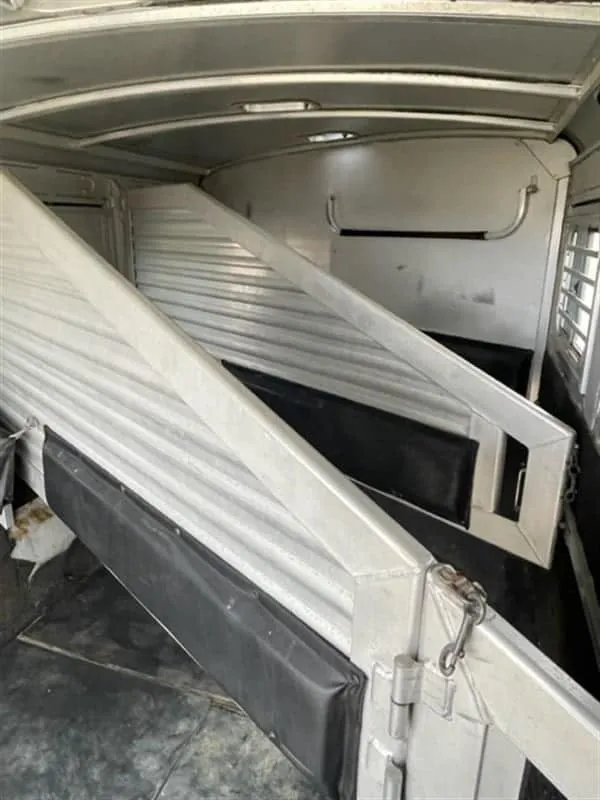 1999 Elite Custom 3 Horse Trailer