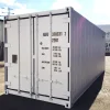 20 Feet Freezer Container Compact Mobile Cold Storage Cell Thermo King / Reefer